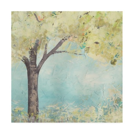 June Erica Vess 'Glen Arbor Ii' Canvas Art,24x24